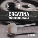human-creatina-450-info