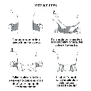FAJA-SC+D1.webp